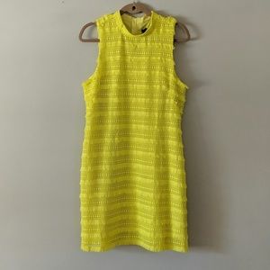JCREW SHEATH DRESS IN FRINGY LACE - NWT SZ 12